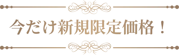 今だけ新規限定価格！